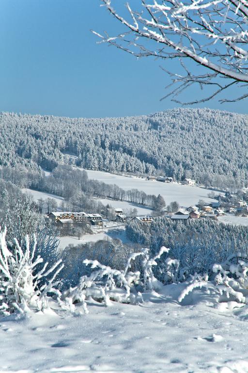 Gasthof Buglhof Sankt Englmar Dış mekan fotoğraf